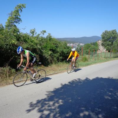 10448735 905739176107906 1303009649465198554 N