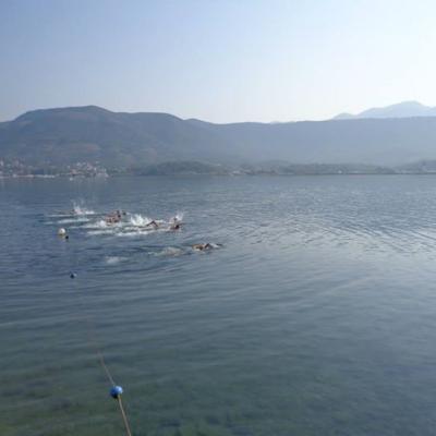 547497 702420736439752 827486107 N