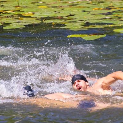 1912531 491160074345542 2216452360698370240 N